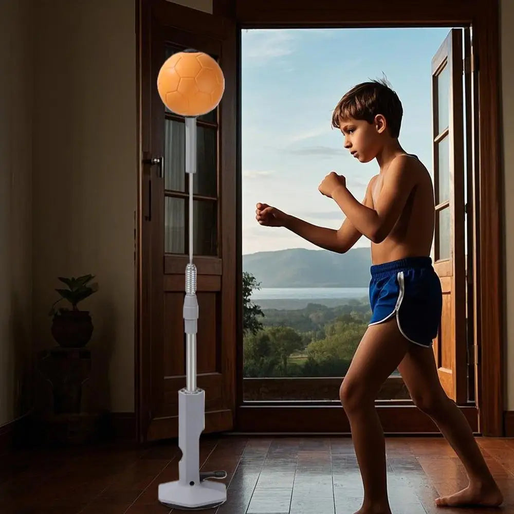 Reflex Boxing Ball